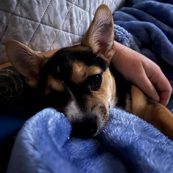 Thank you ❤️ - Picture 3 of 12